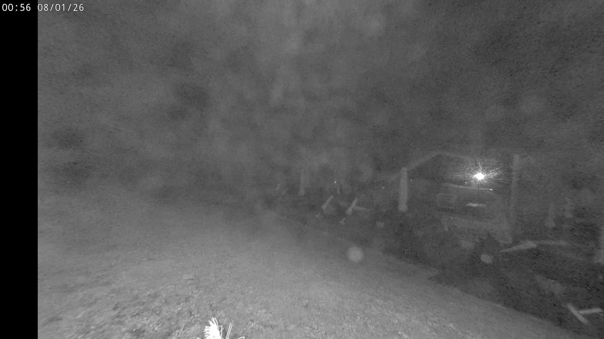 Webcam a Cavalese - Trentino