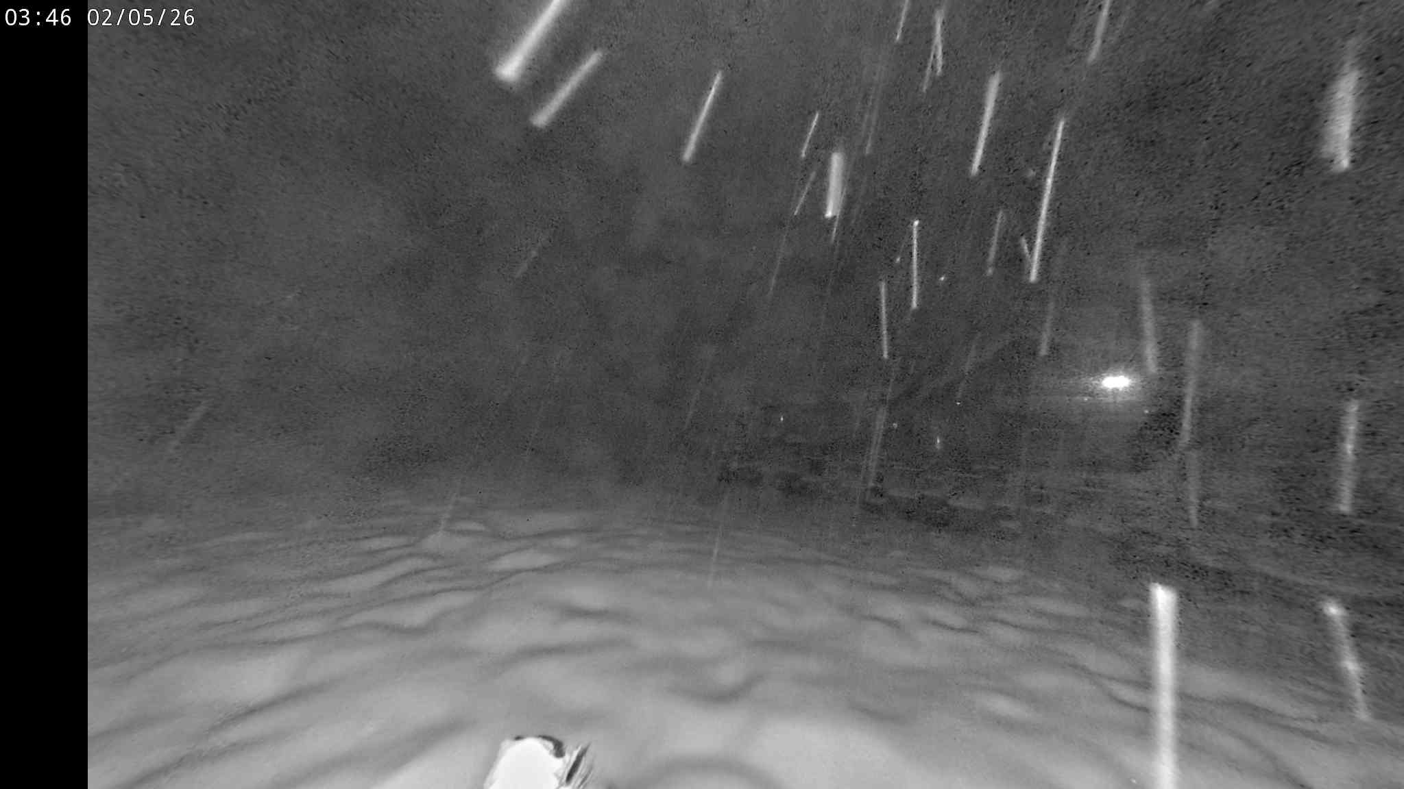 Webcam a Cavalese - Trentino