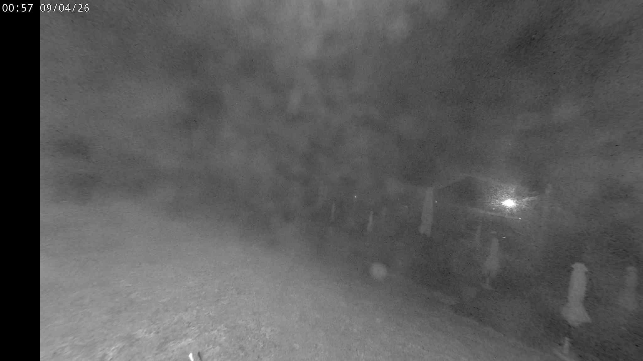 Webcam a Cavalese - Trentino