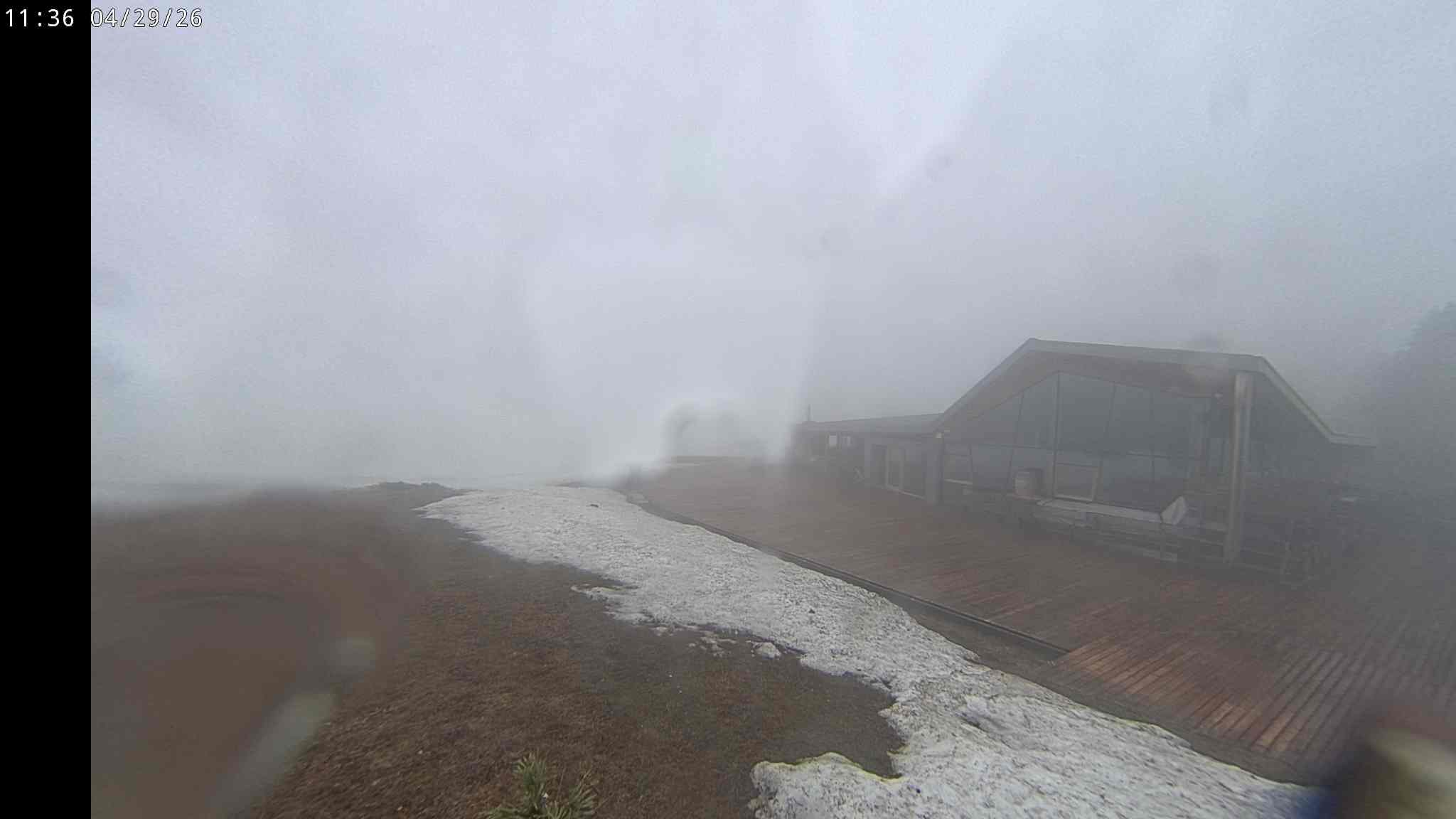 Webcam a Cavalese - Trentino