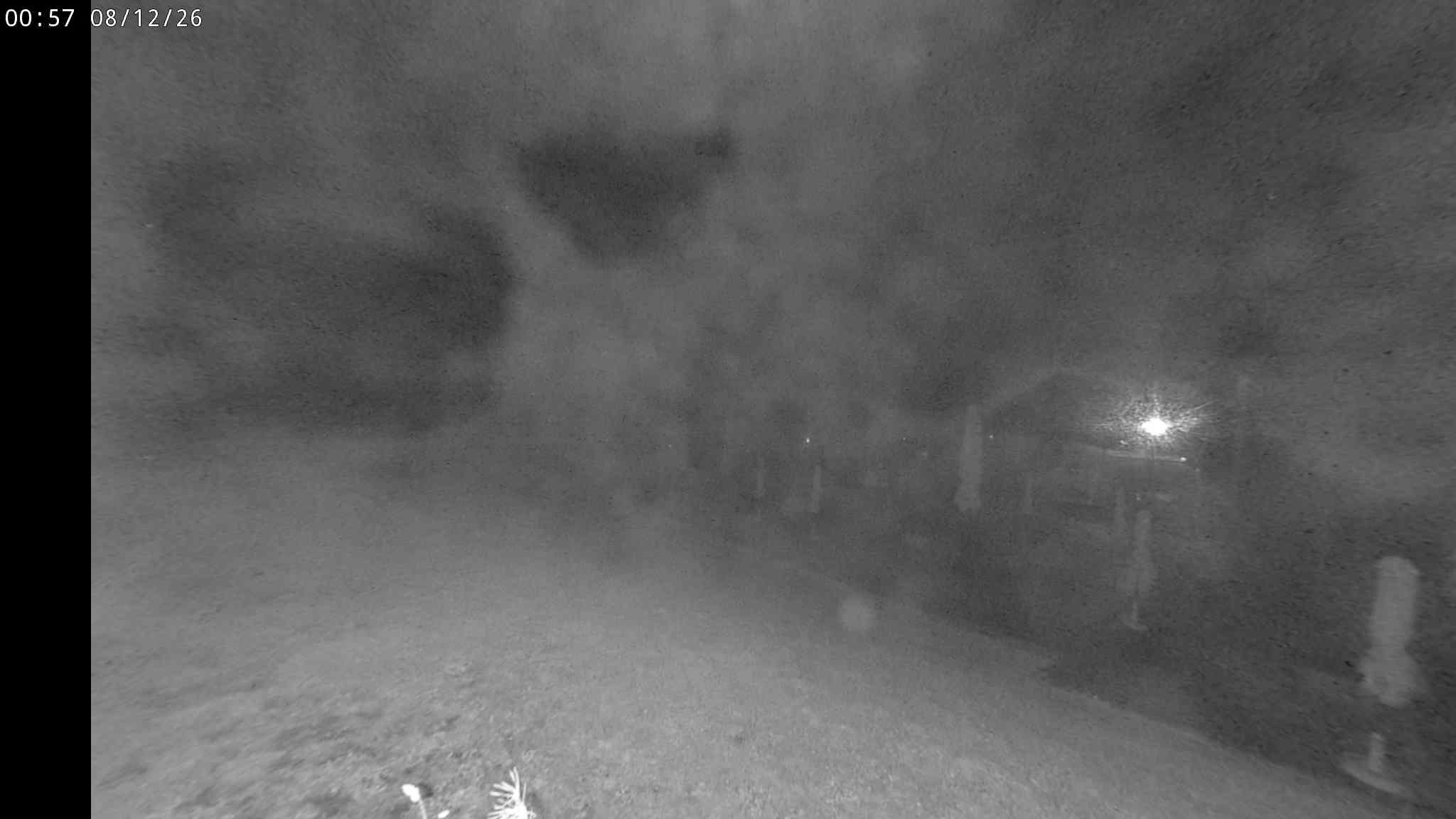 Webcam a Cavalese - Trentino