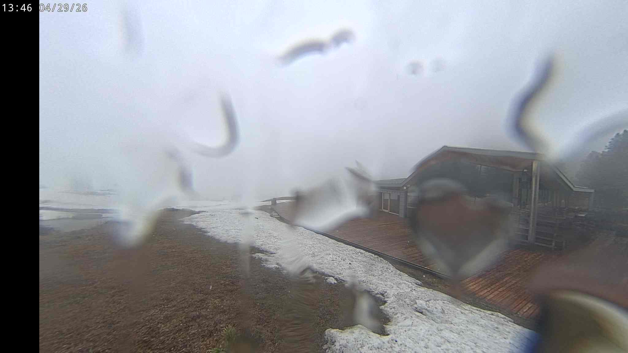 Webcam a Cavalese - Trentino