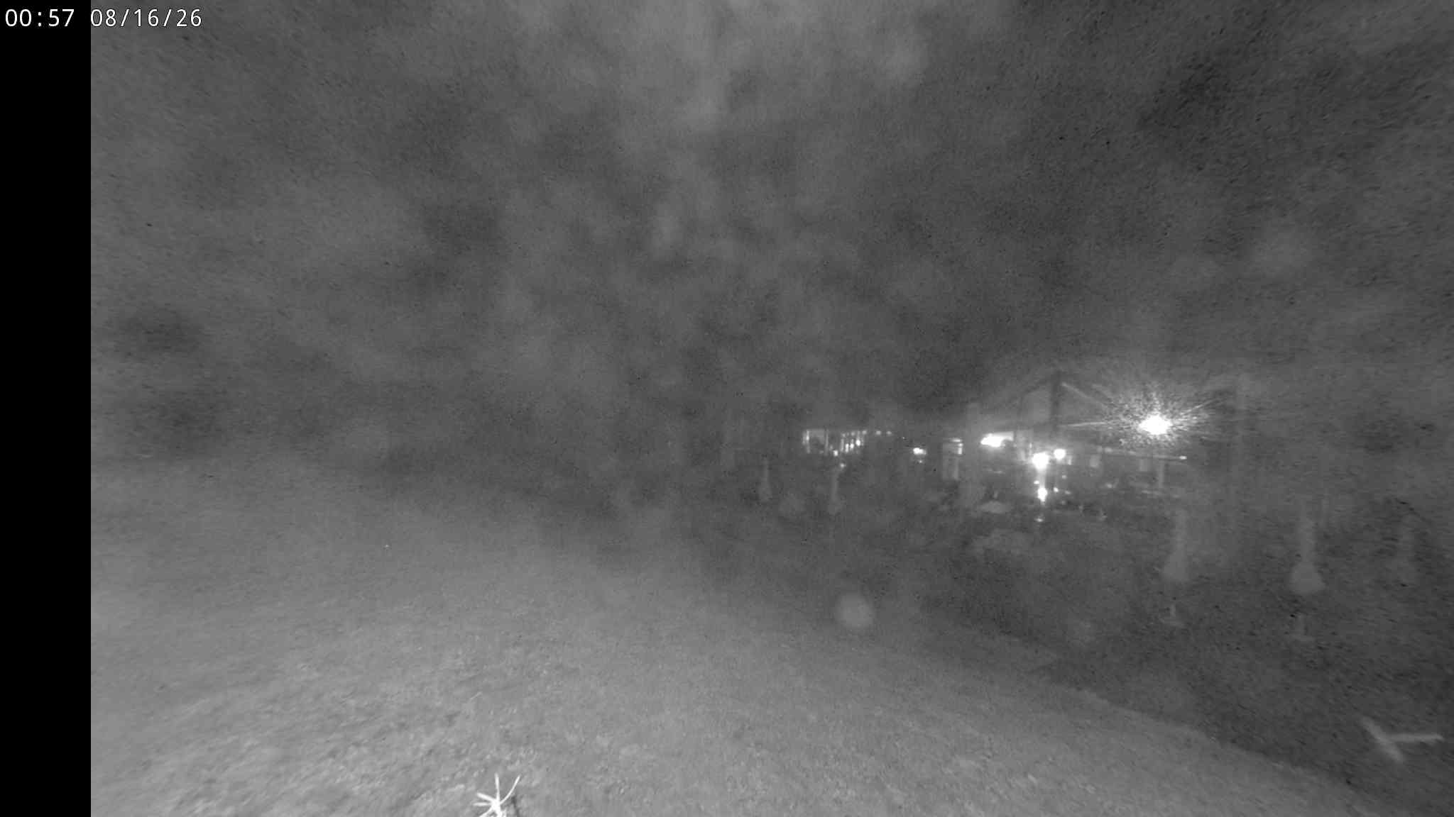 Webcam a Cavalese - Trentino