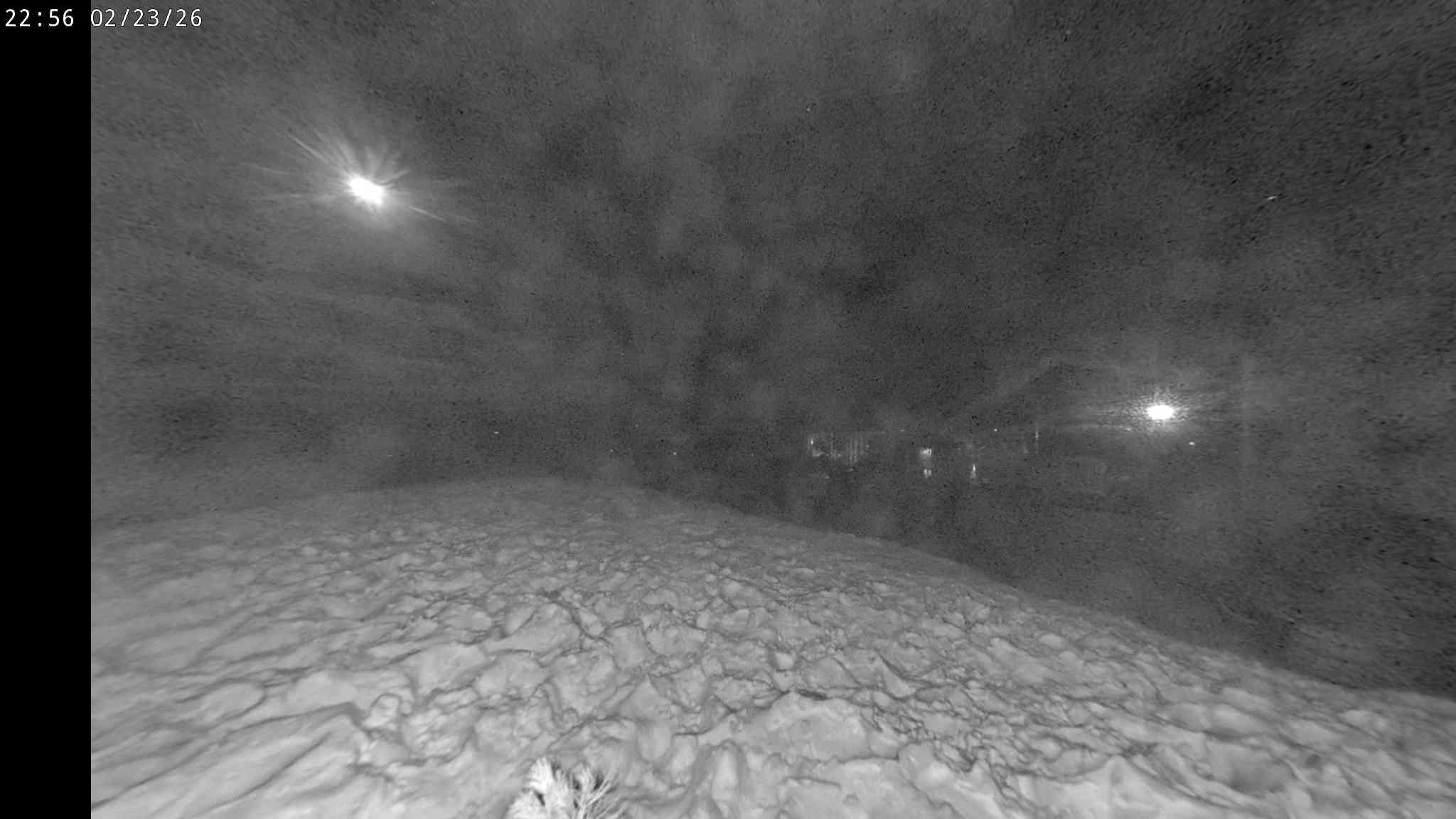 Webcam a Cavalese - Trentino