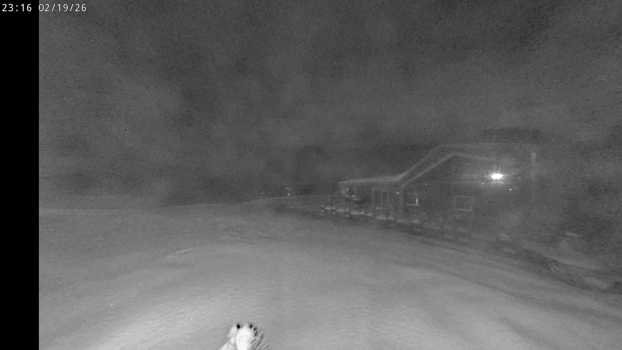 Webcam a Cavalese - Trentino