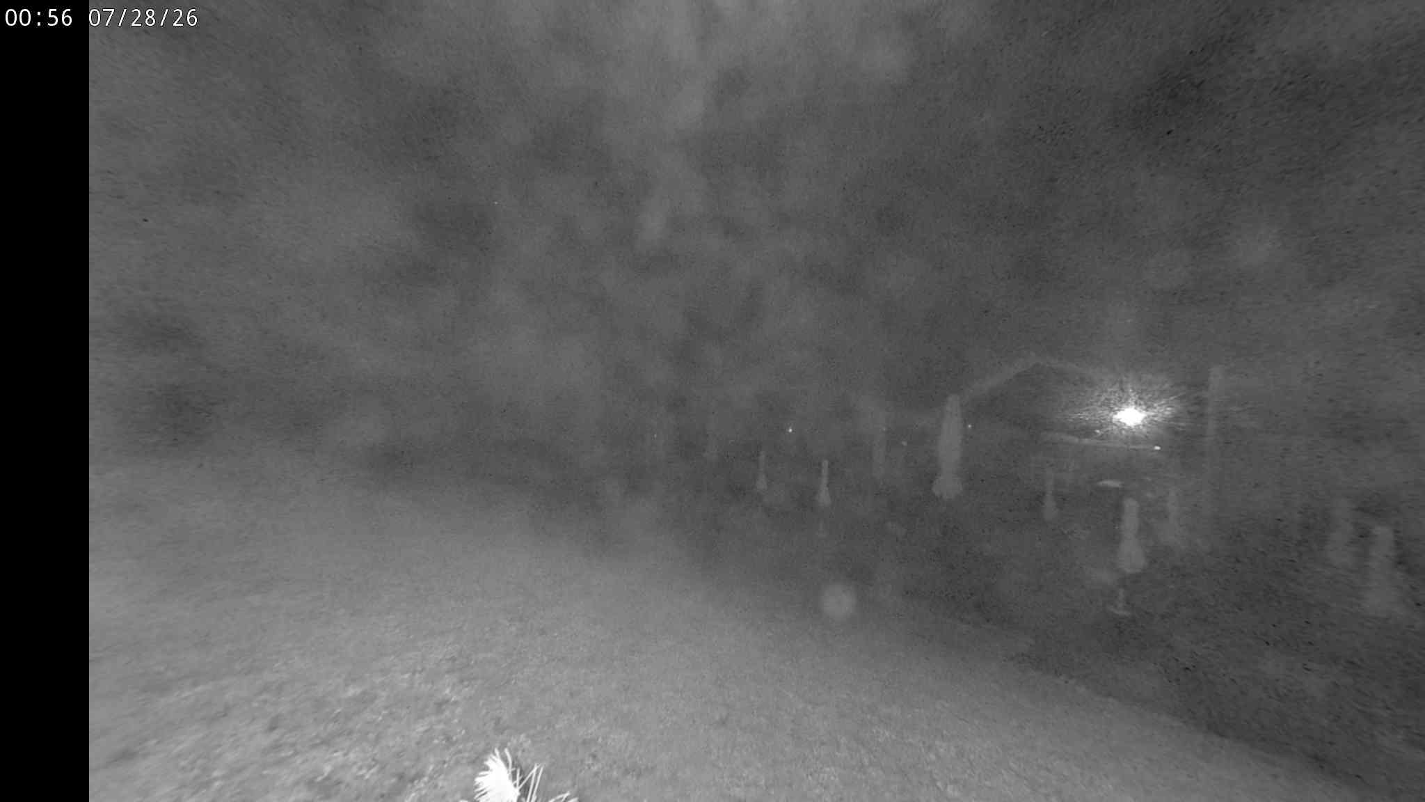 Webcam a Cavalese - Trentino