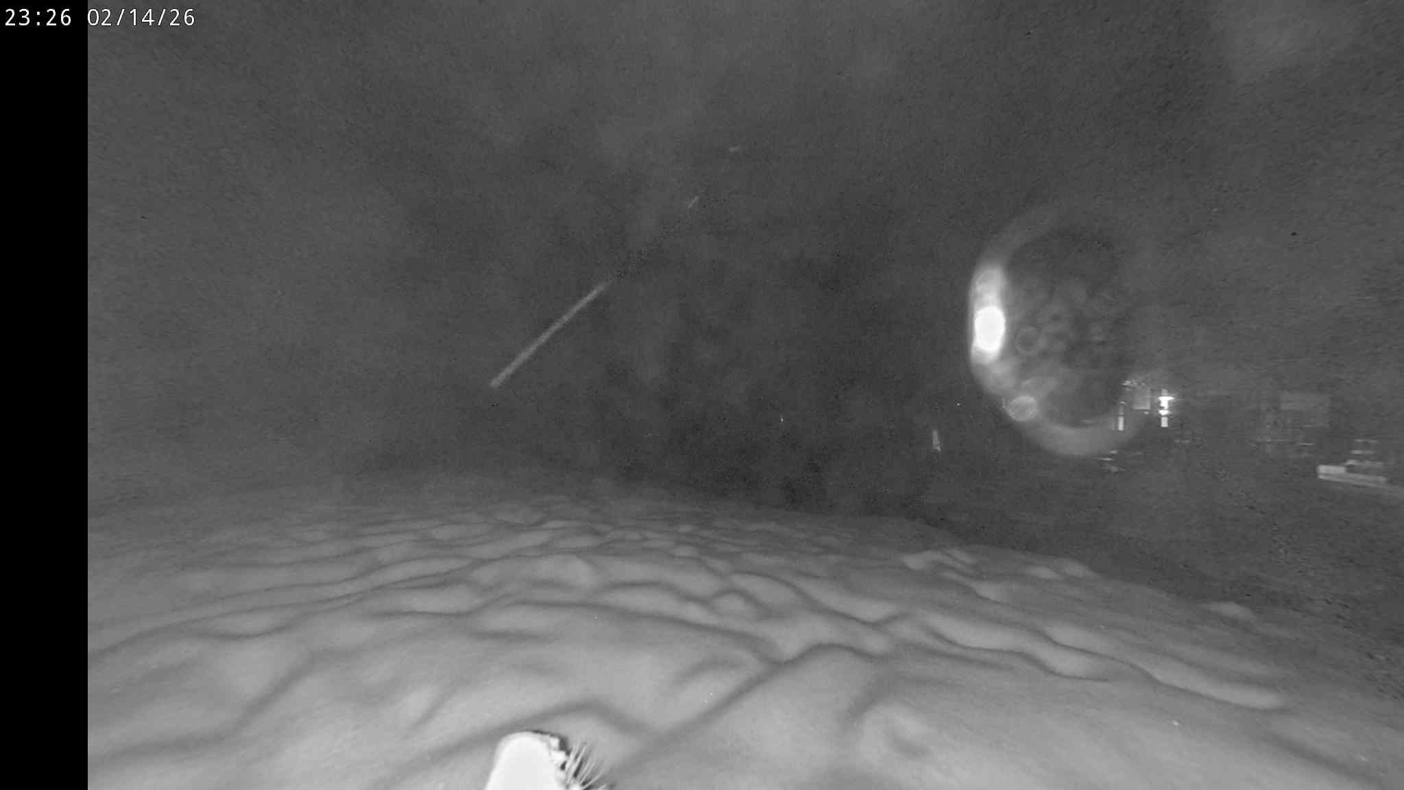 Webcam a Cavalese - Trentino