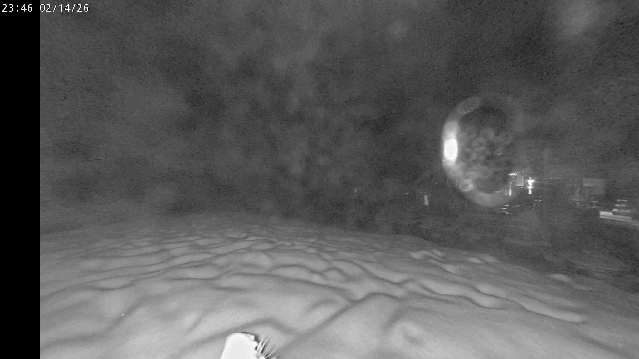 Webcam a Cavalese - Trentino