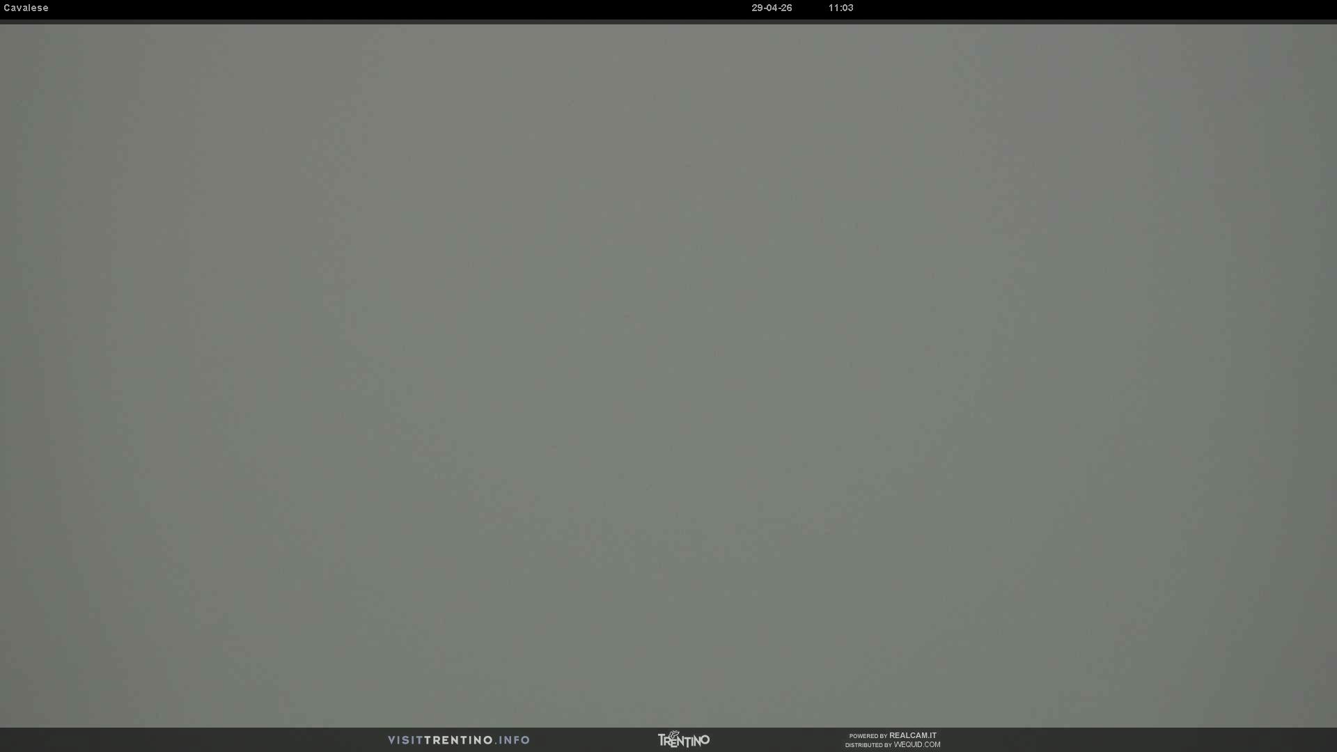 Webcam a Cavalese - Trentino