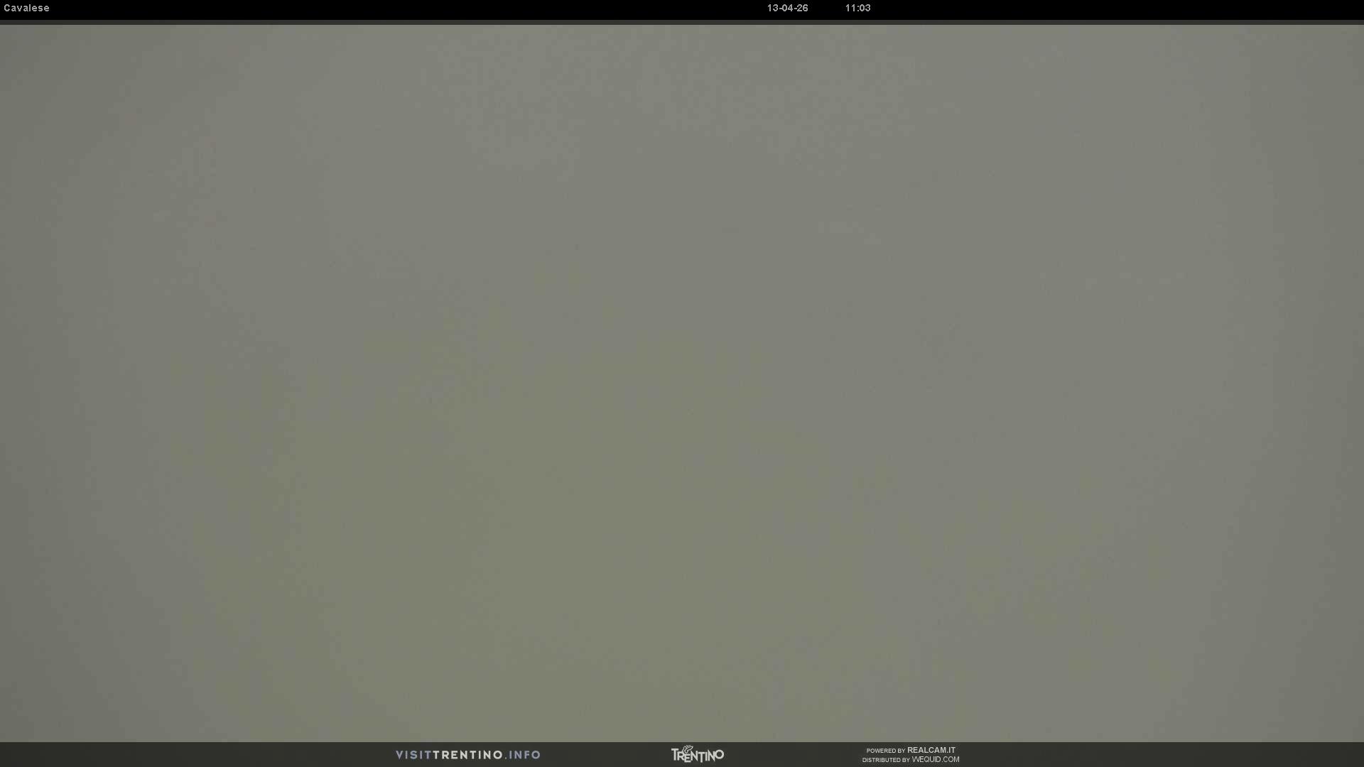 Webcam a Cavalese - Trentino