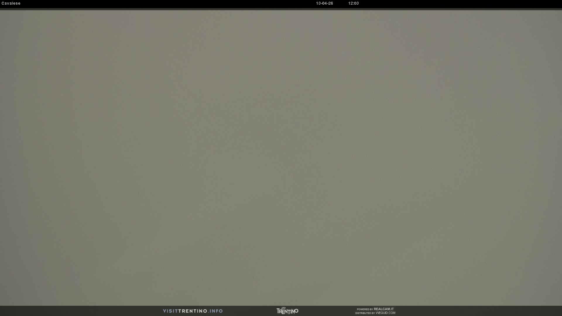 Webcam a Cavalese - Trentino