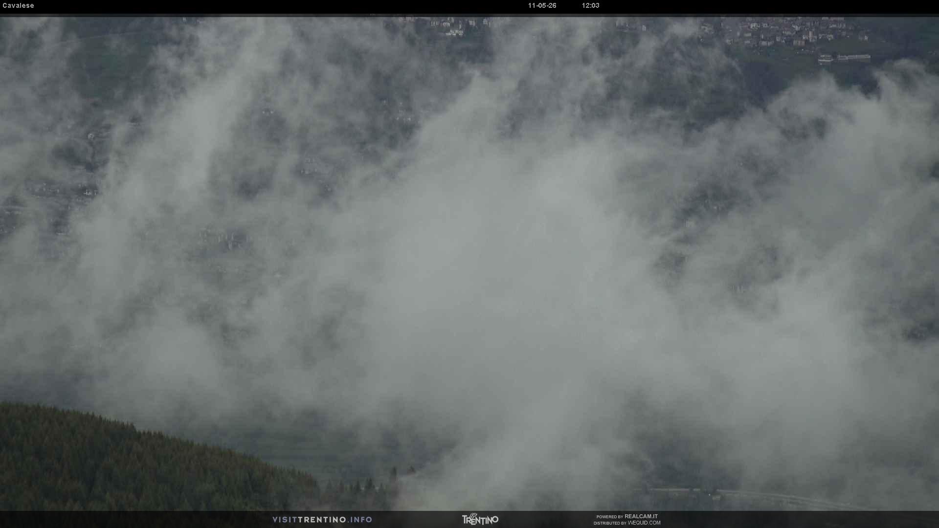 Webcam a Cavalese - Trentino