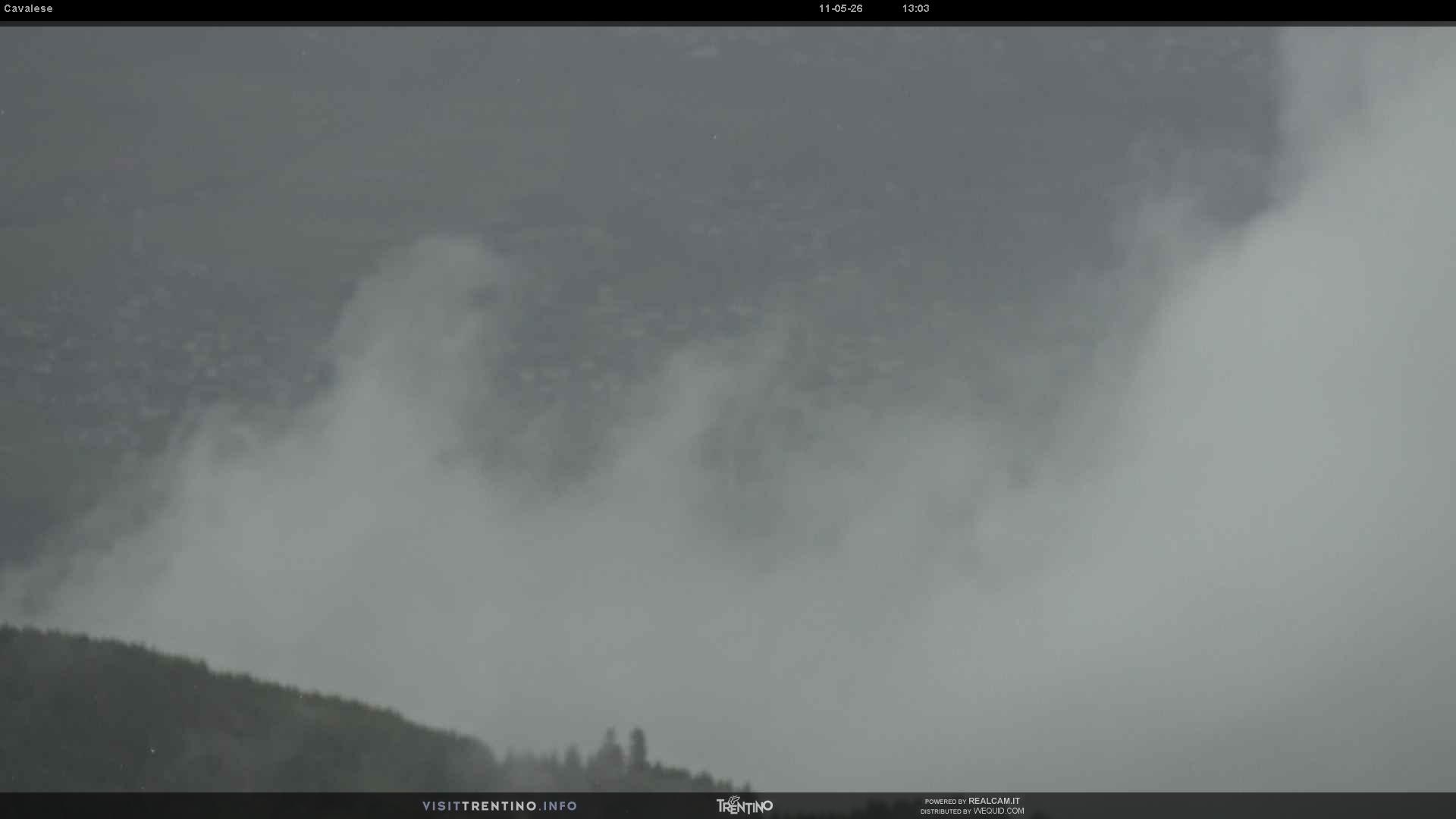 Webcam a Cavalese - Trentino