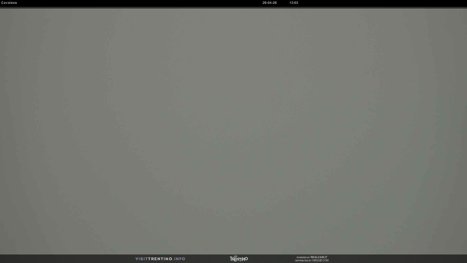 Webcam a Cavalese - Trentino