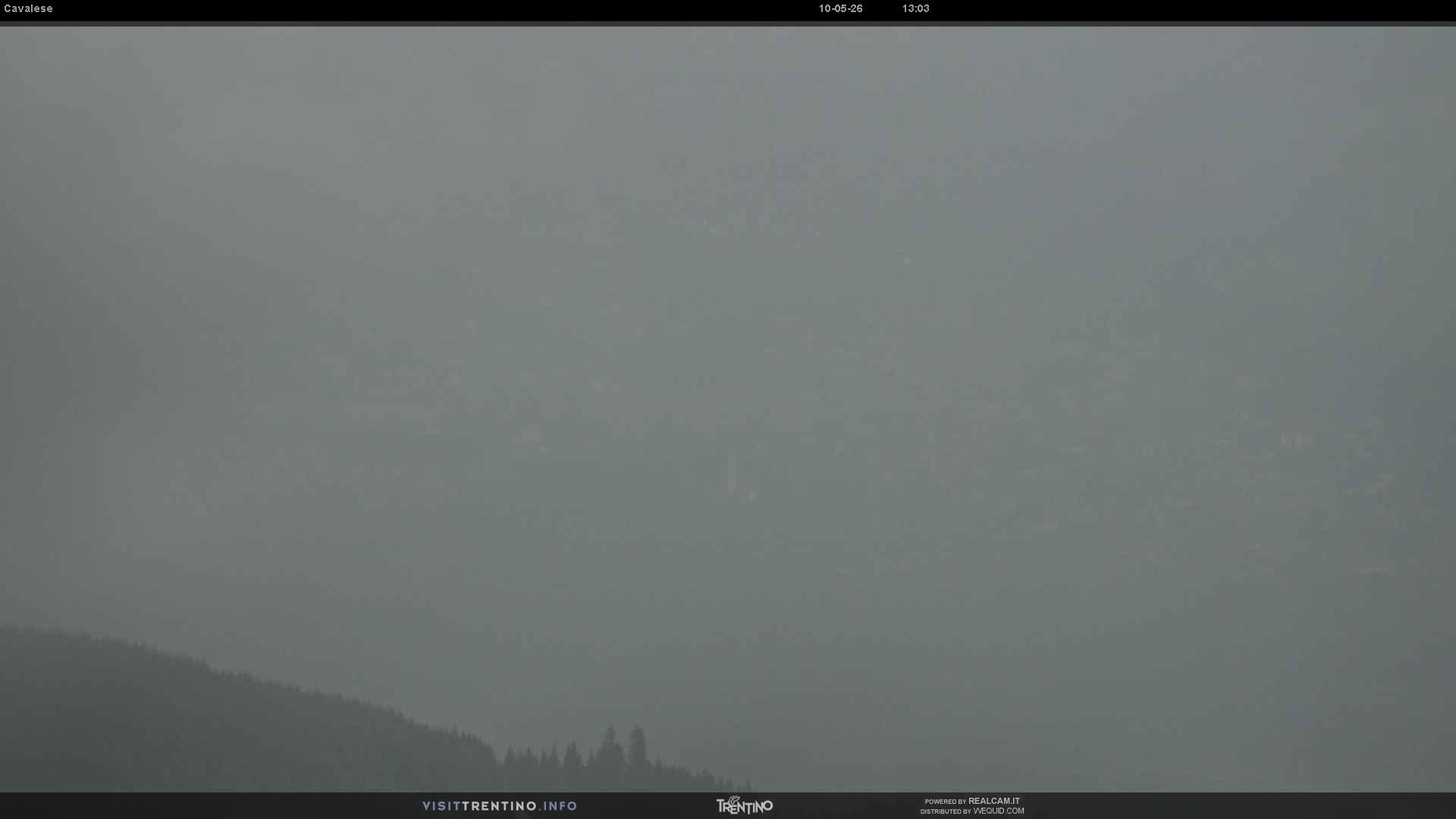Webcam a Cavalese - Trentino