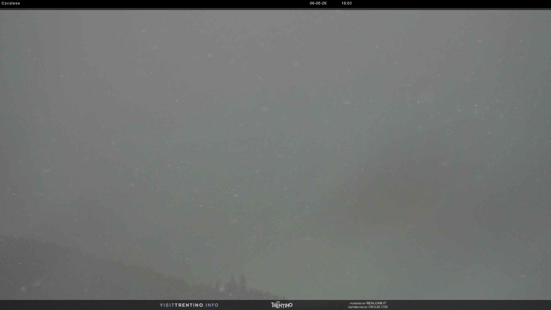 Webcam a Cavalese - Trentino