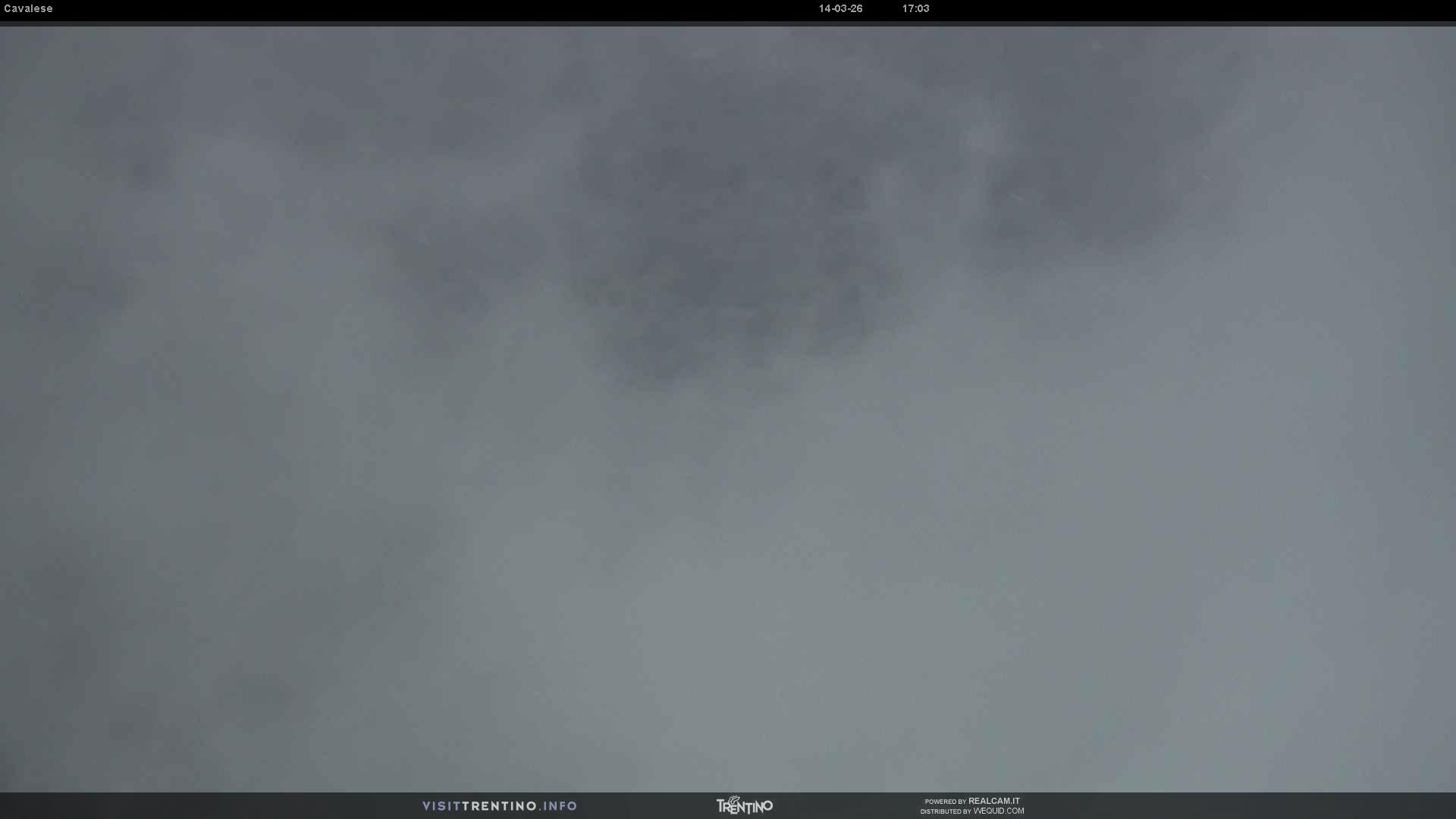 Webcam a Cavalese - Trentino