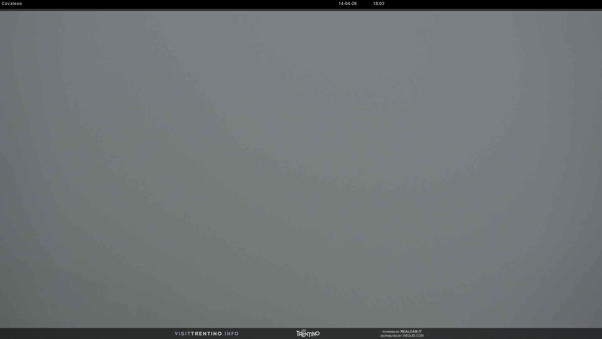 Webcam a Cavalese - Trentino