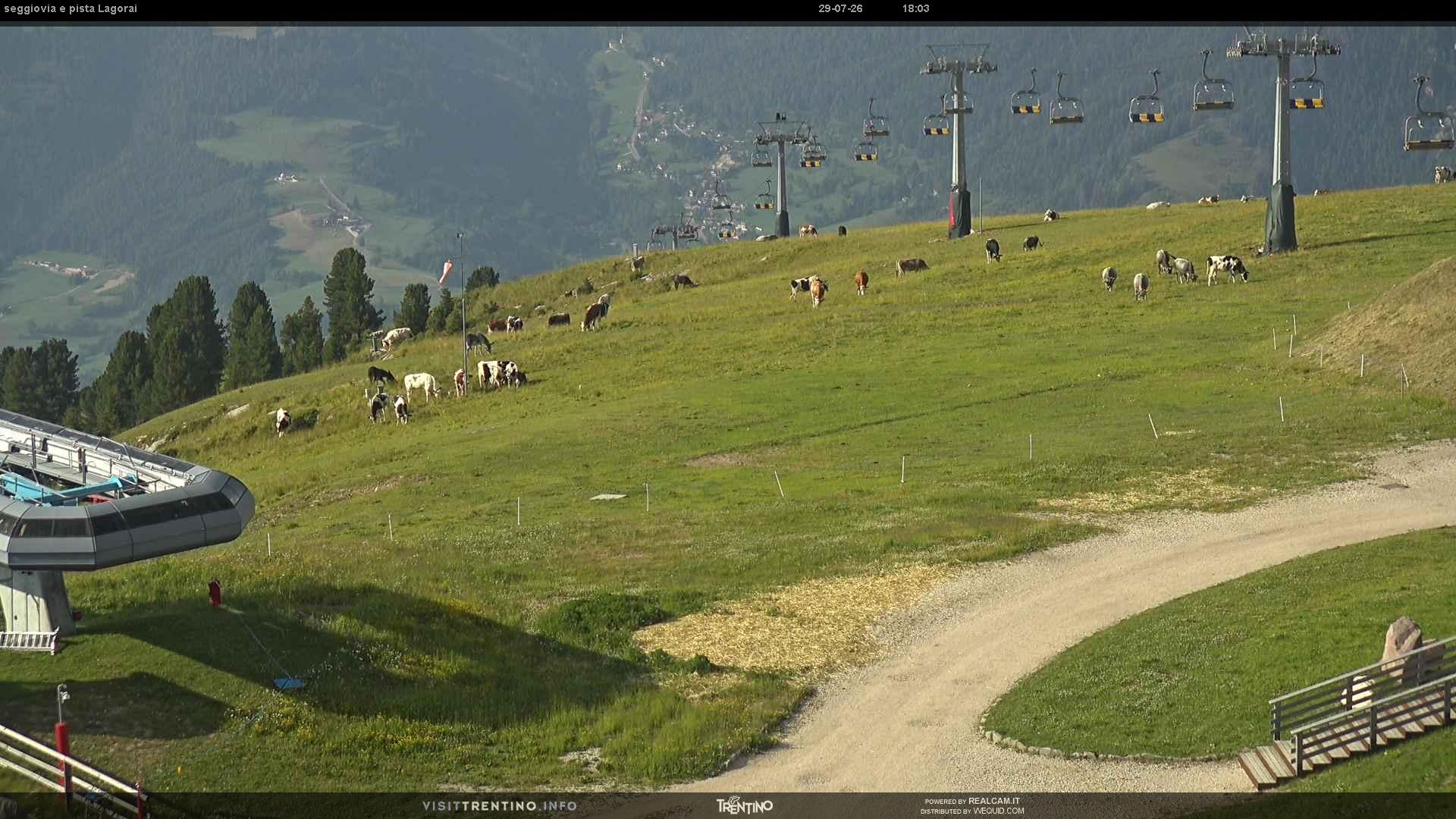 Webcam a Cavalese - Trentino