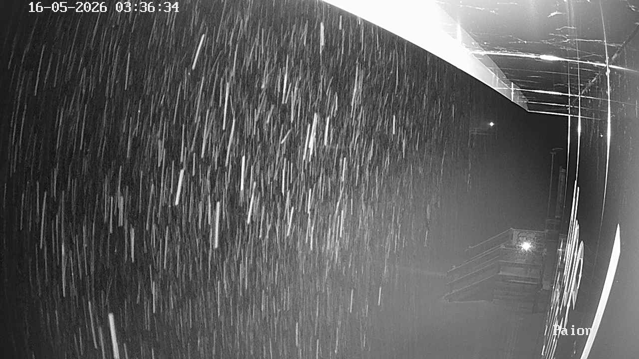 Webcam a Cavalese - Trentino