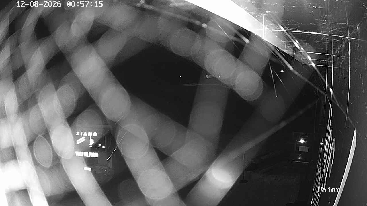 Webcam a Cavalese - Trentino