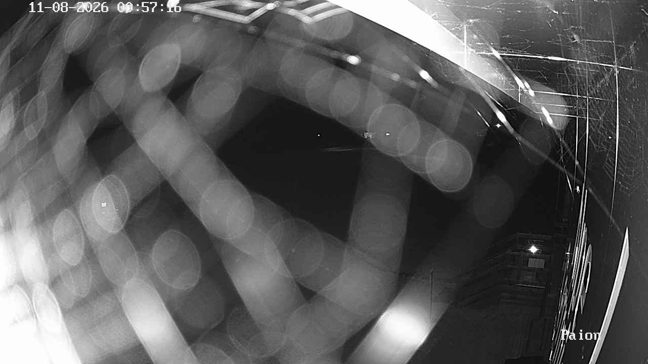 Webcam a Cavalese - Trentino