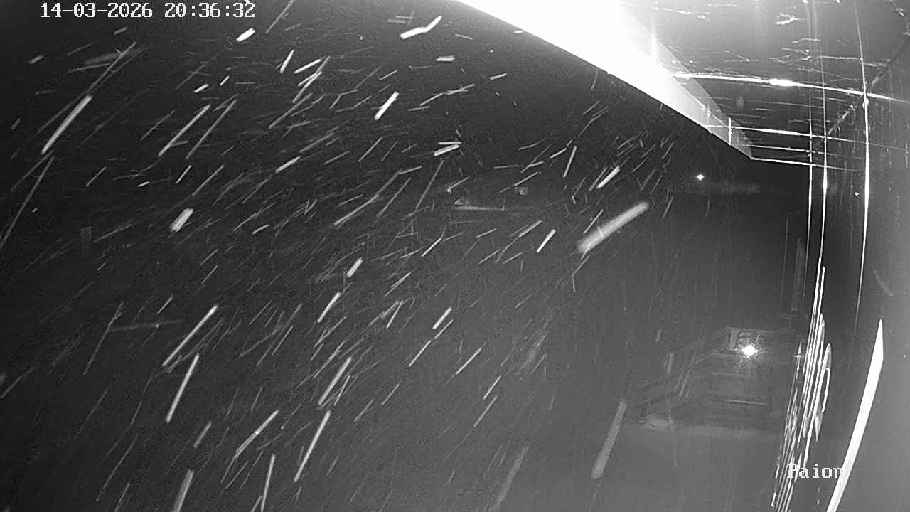 Webcam a Cavalese - Trentino