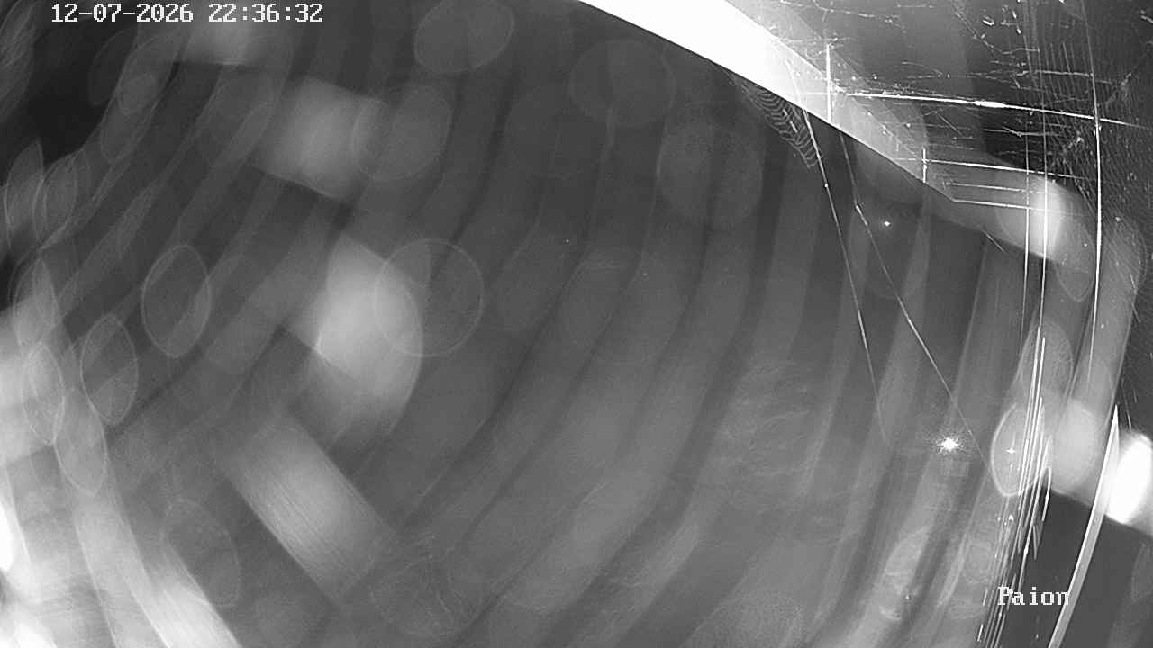 Webcam a Cavalese - Trentino