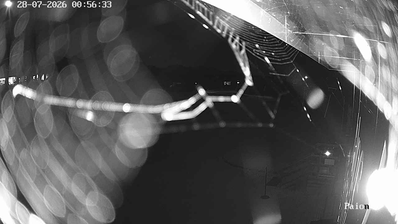 Webcam a Cavalese - Trentino