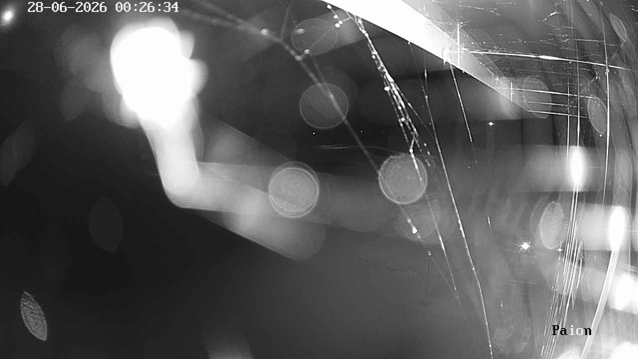 Webcam a Cavalese - Trentino - Dolomiti