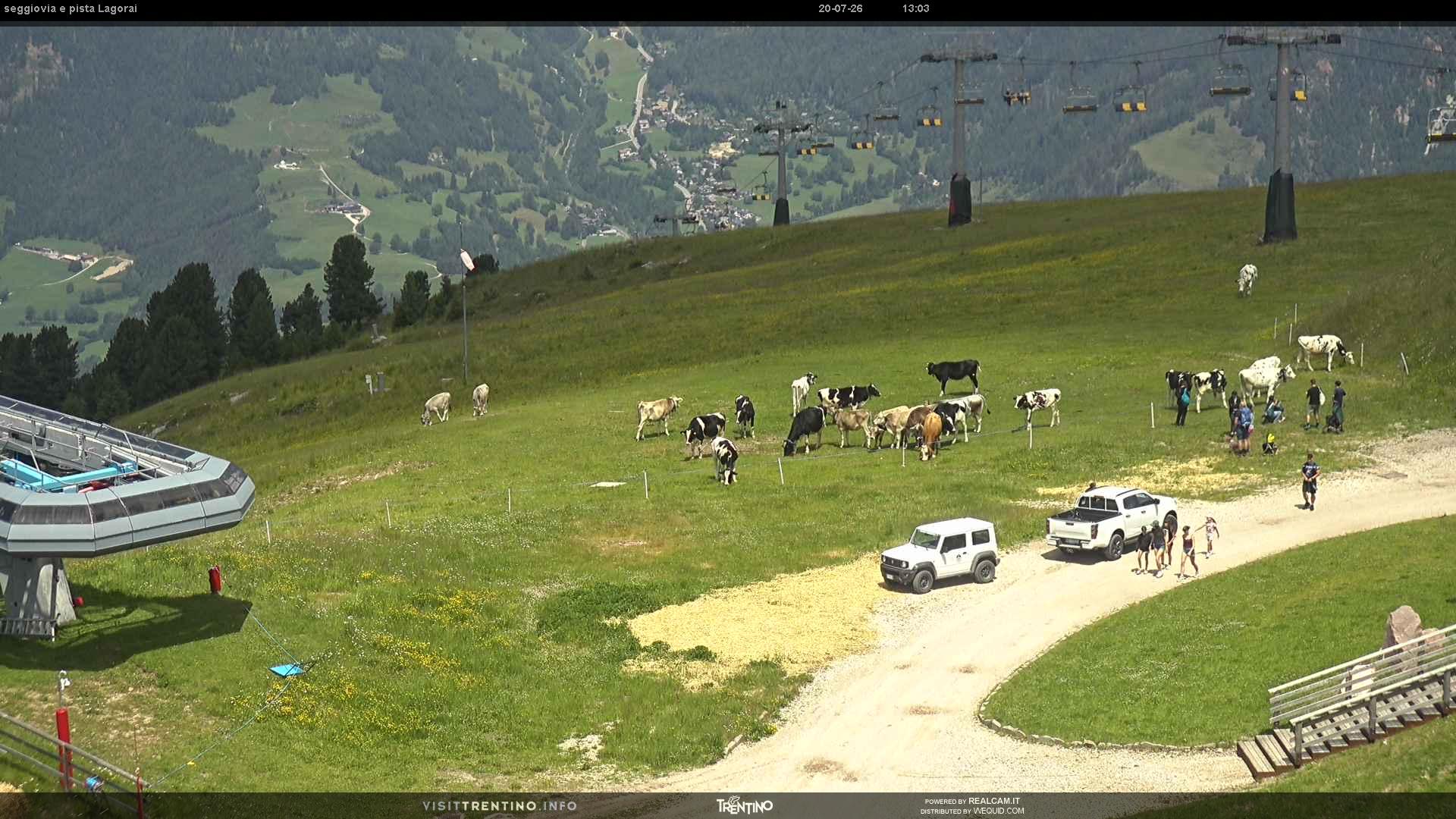 Webcam a Cavalese - Trentino