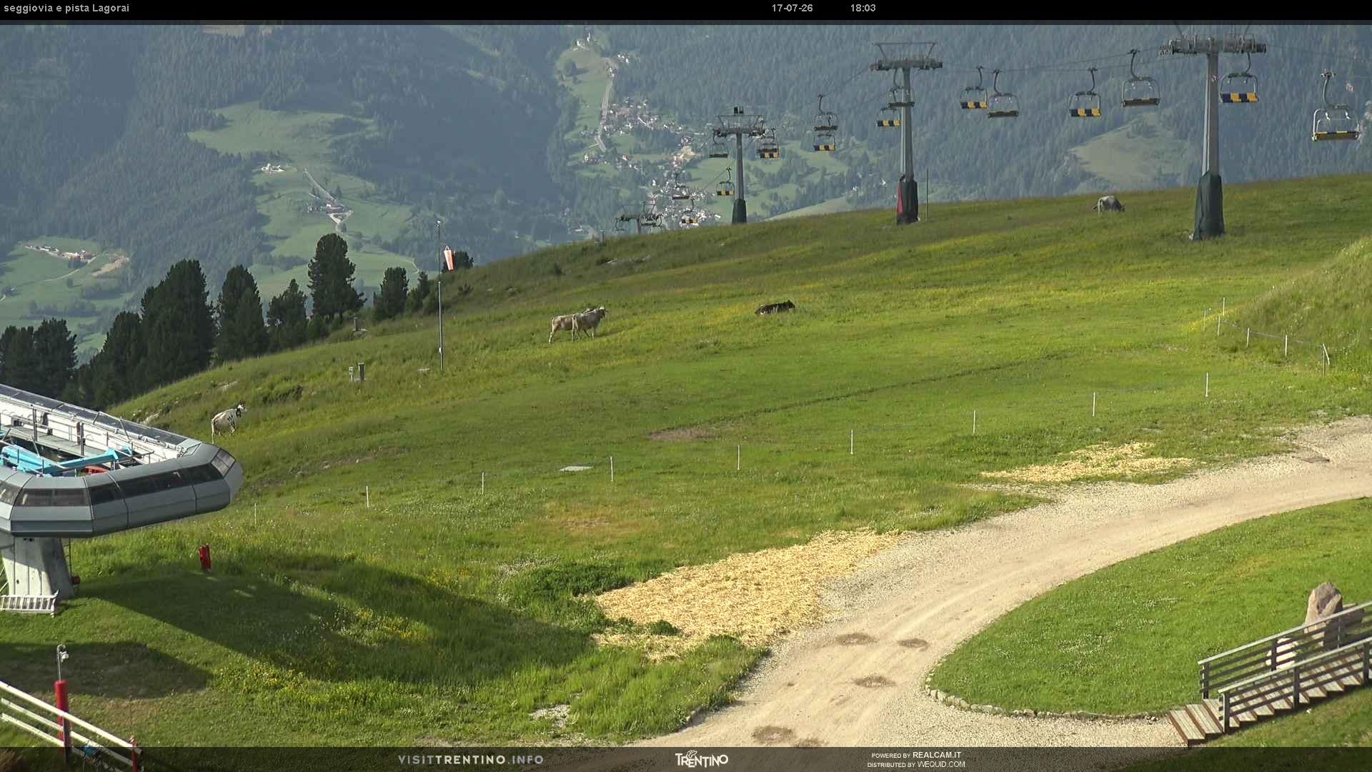 Webcam a Cavalese - Trentino