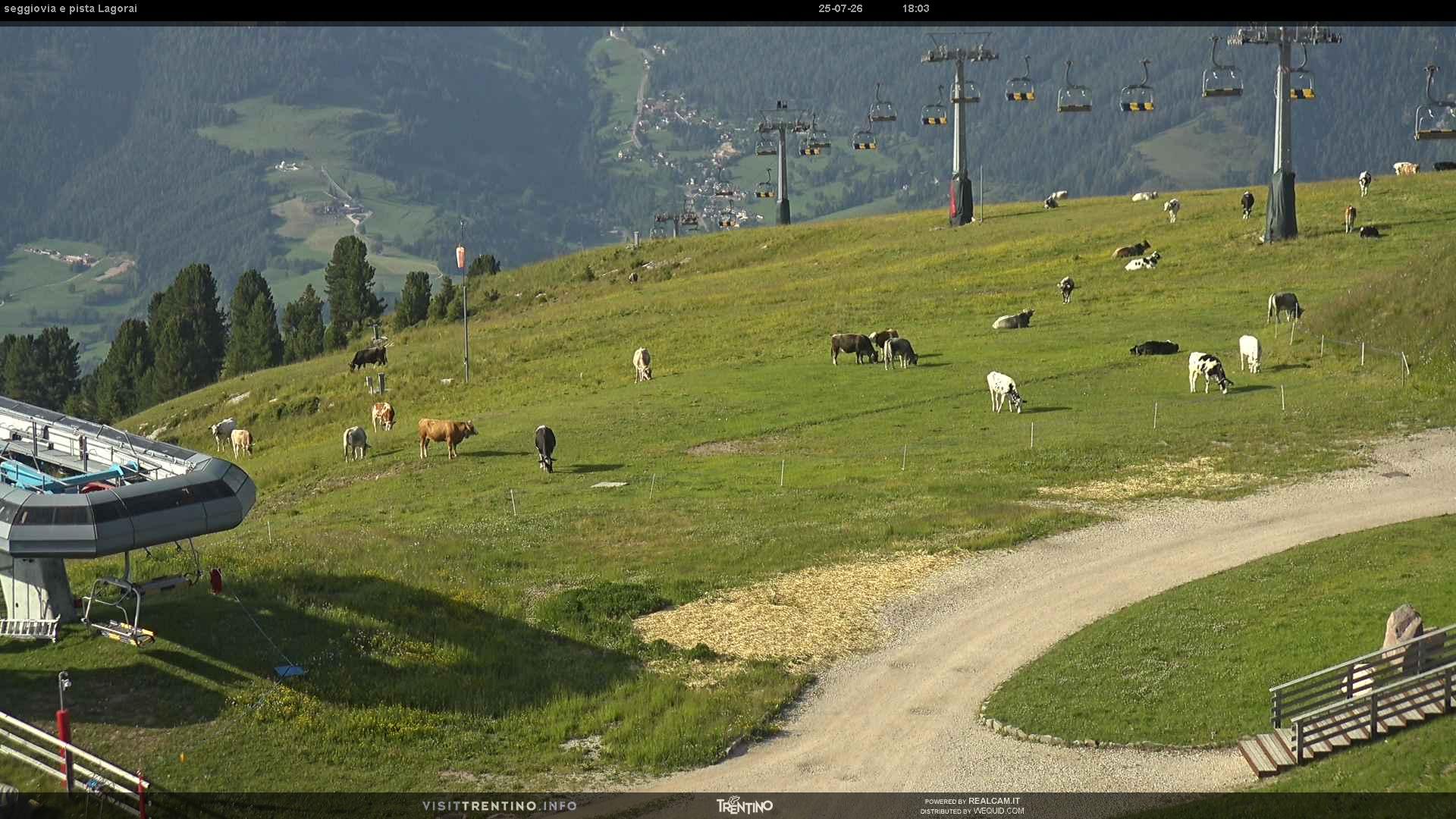Webcam a Cavalese - Trentino