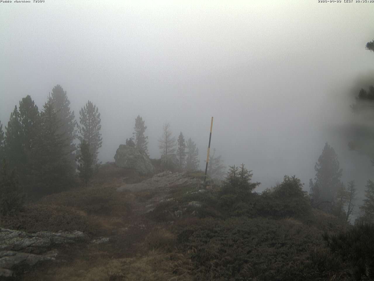 Webcam a Castello di Fiemme - Trentino