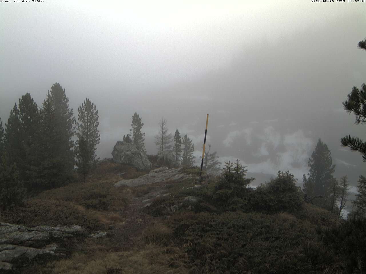 Webcam a Castello di Fiemme - Trentino