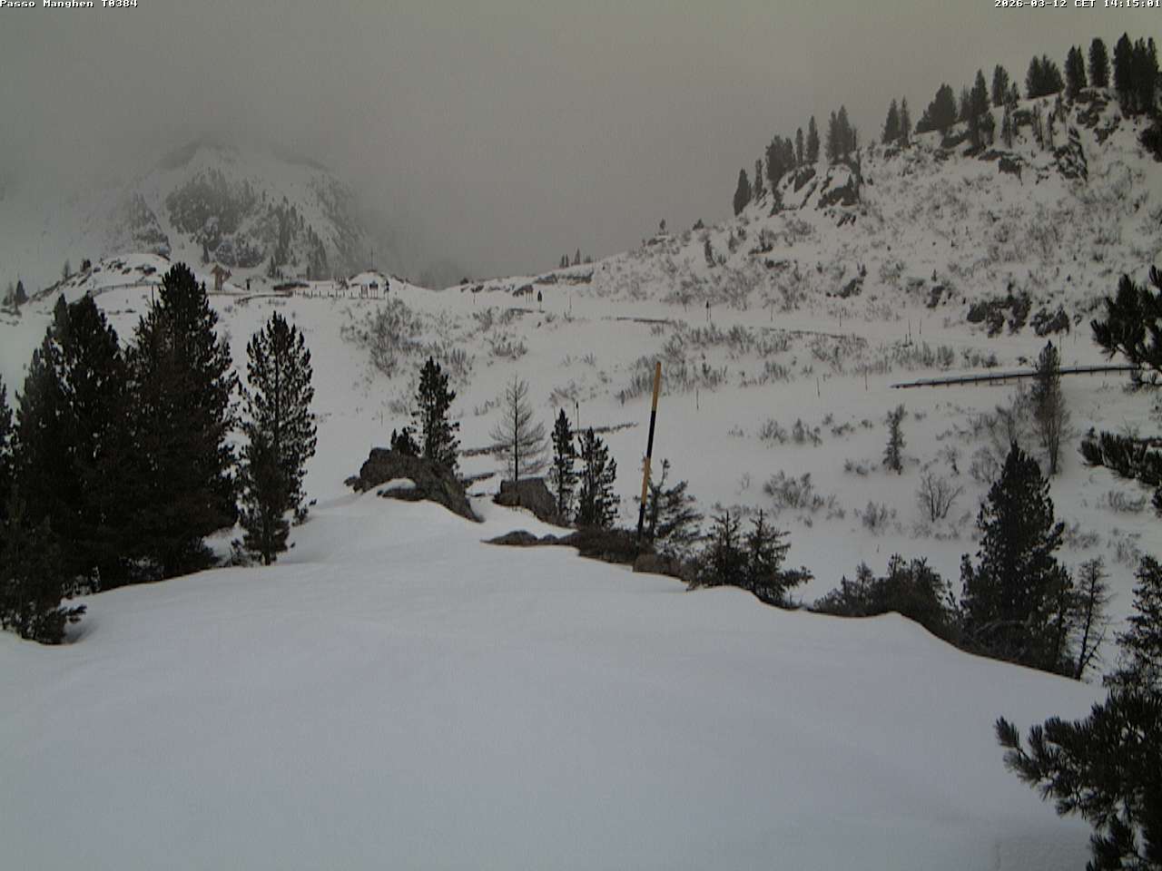 Webcam a Castello di Fiemme - Trentino