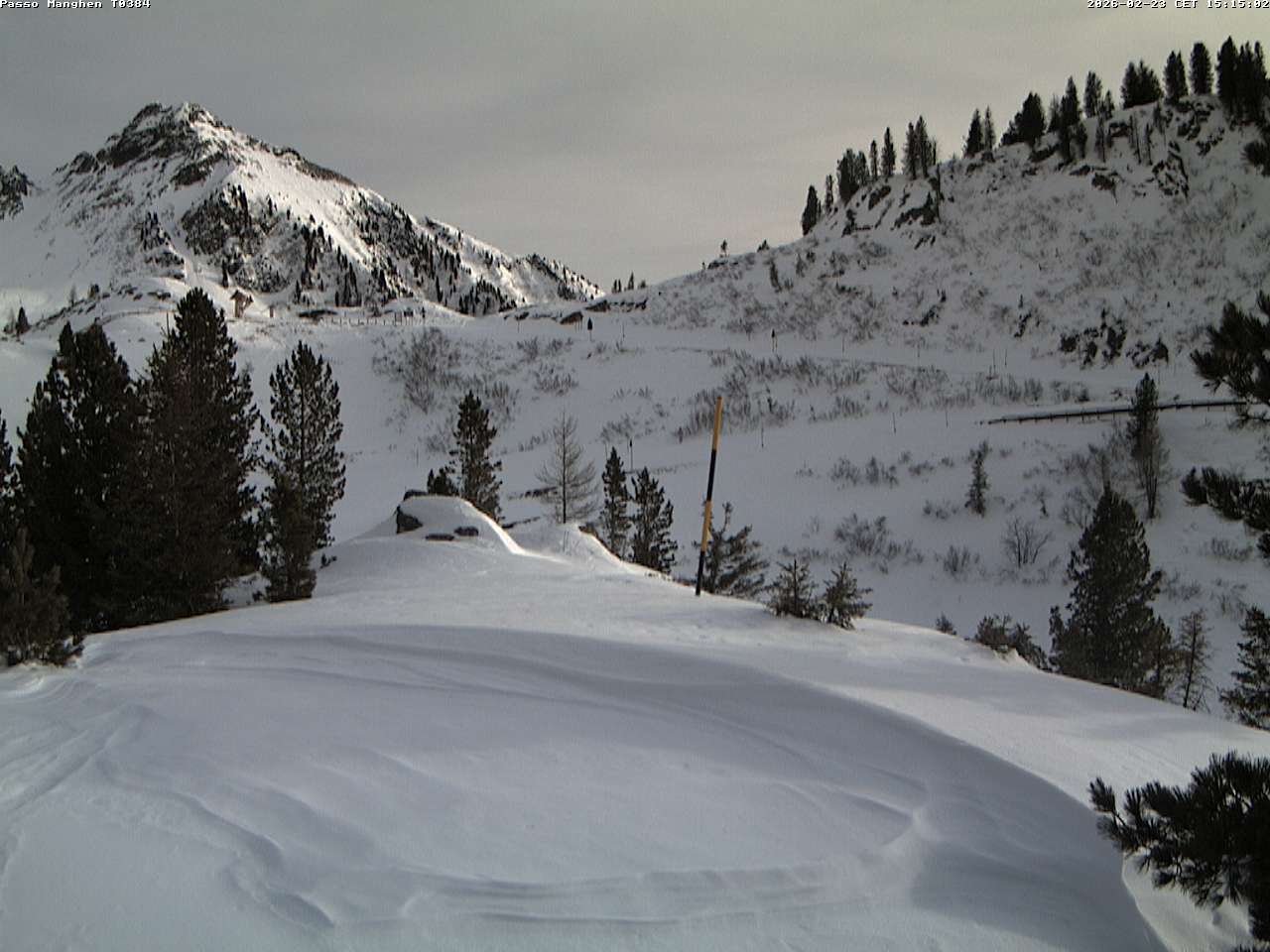 Webcam a Castello di Fiemme - Trentino