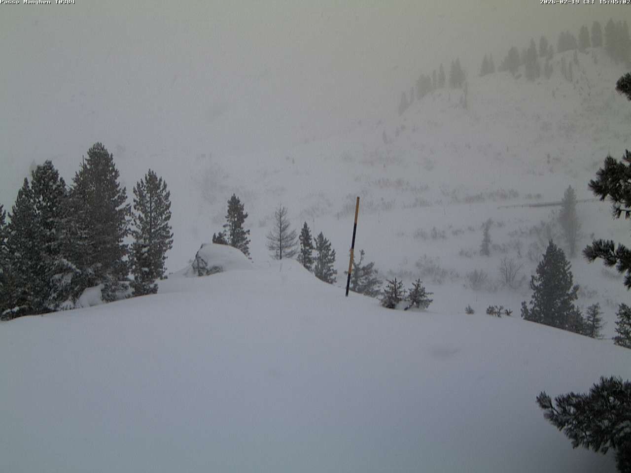 Webcam a Castello di Fiemme - Trentino