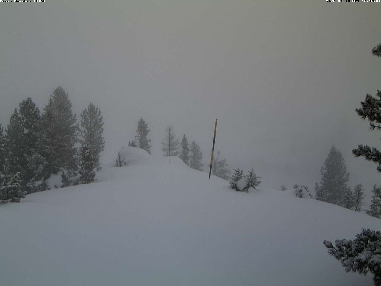 Webcam a Castello di Fiemme - Trentino