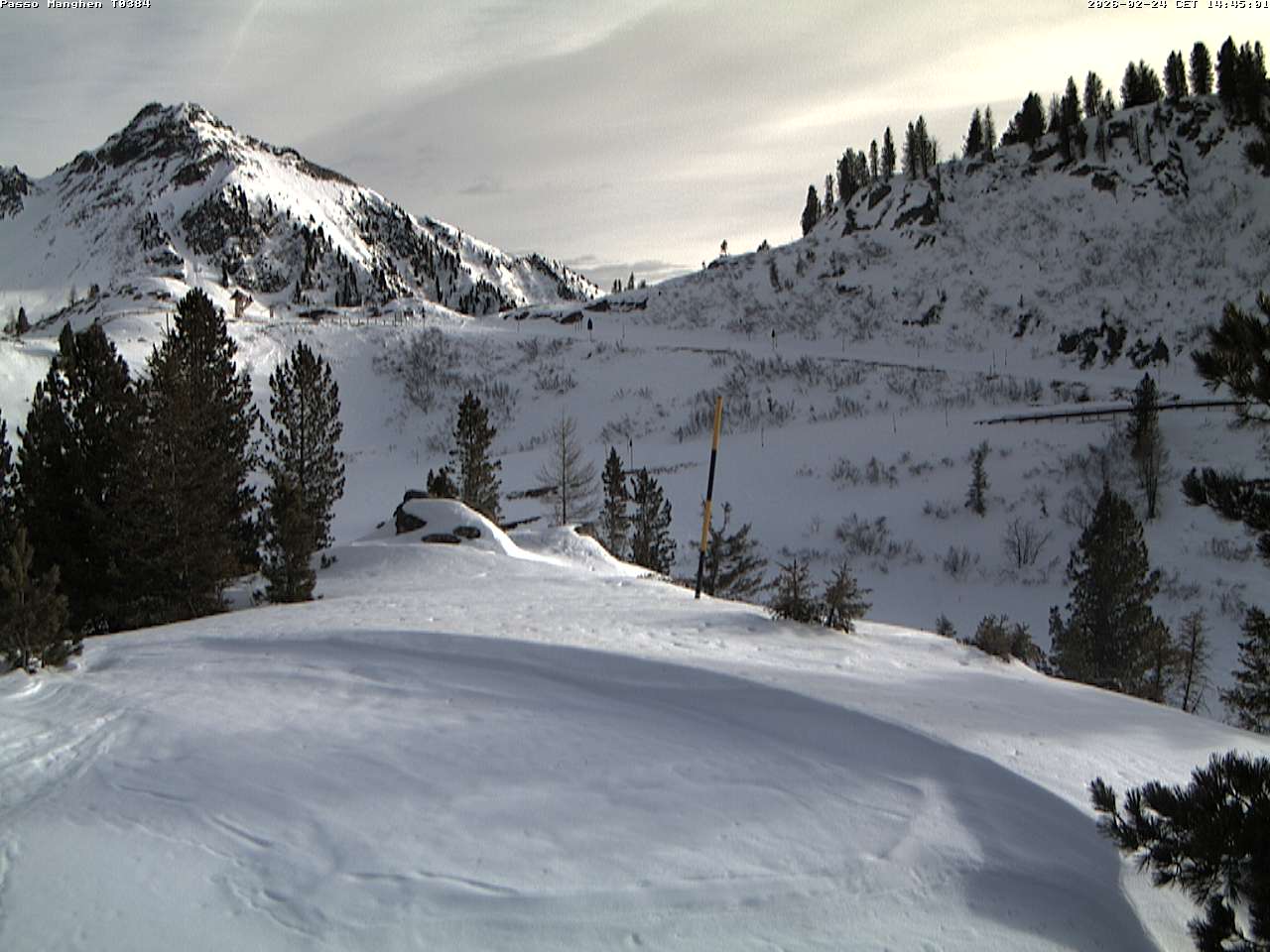 Webcam a Castello di Fiemme - Trentino