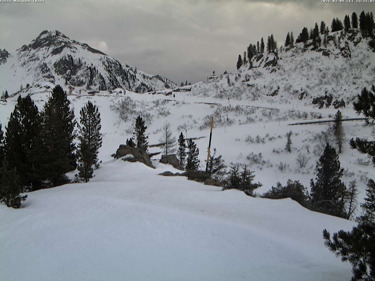 Webcam a Castello di Fiemme - Trentino