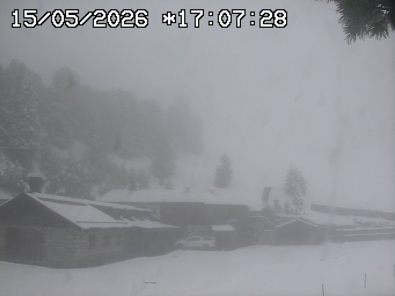 Webcam a Obereggen - Trentino