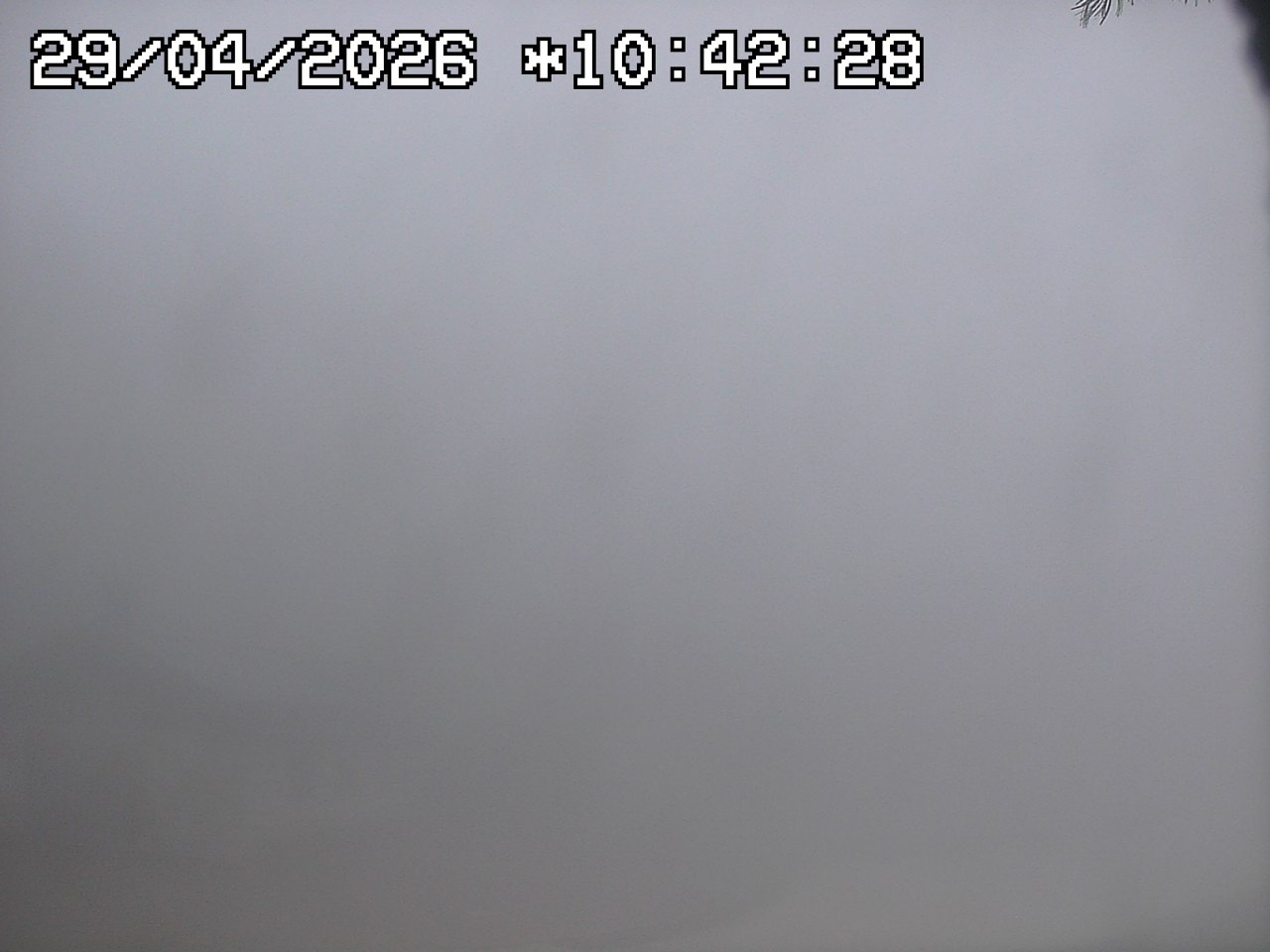 Webcam a Obereggen - Trentino
