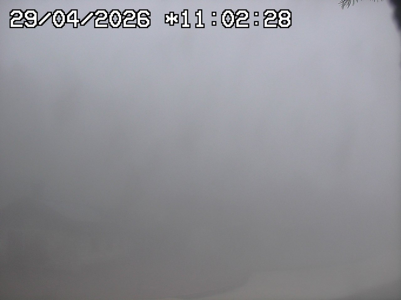 Webcam a Obereggen - Trentino