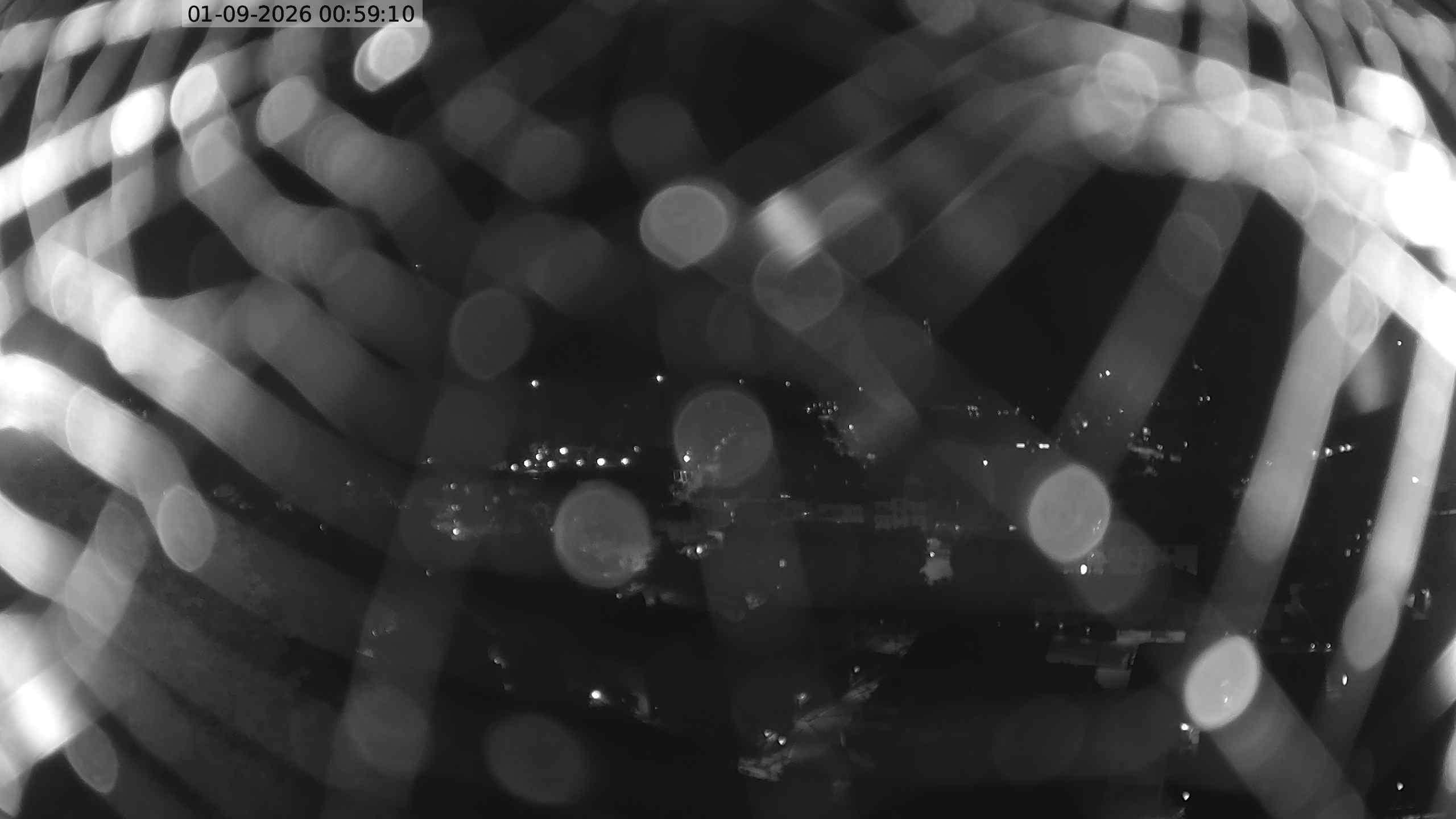 Webcam a Cavalese - Trentino
