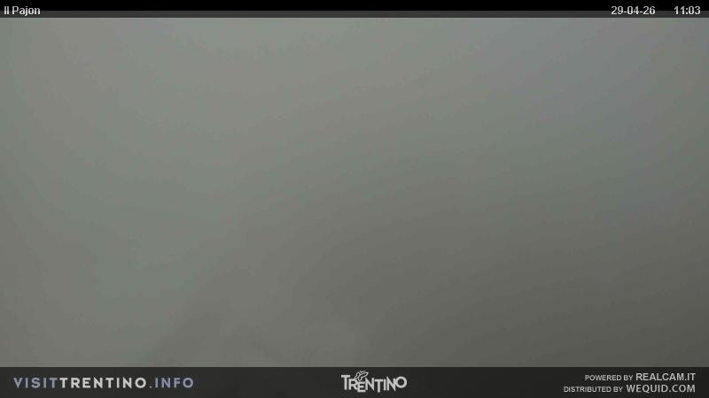 Webcam a Cavalese - Trentino