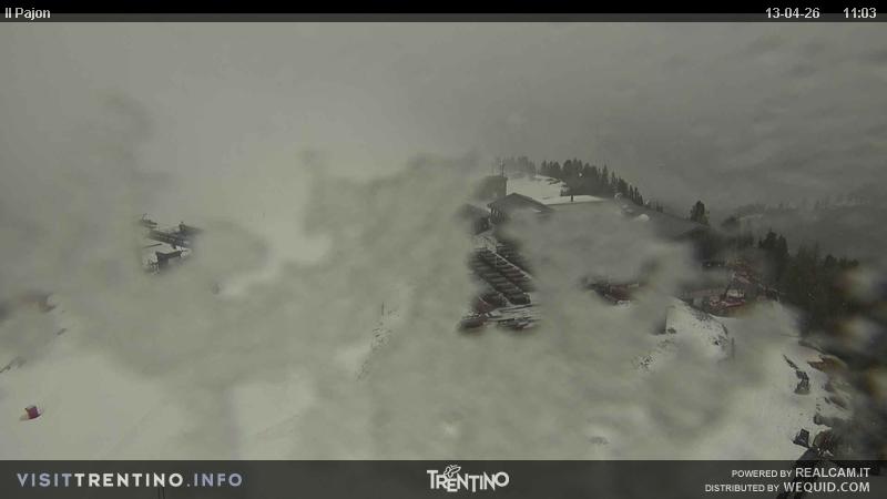 Webcam a Cavalese - Trentino