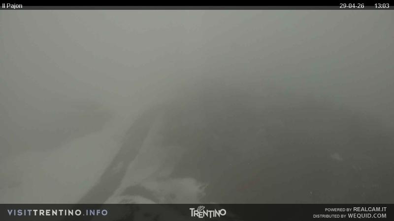 Webcam a Cavalese - Trentino