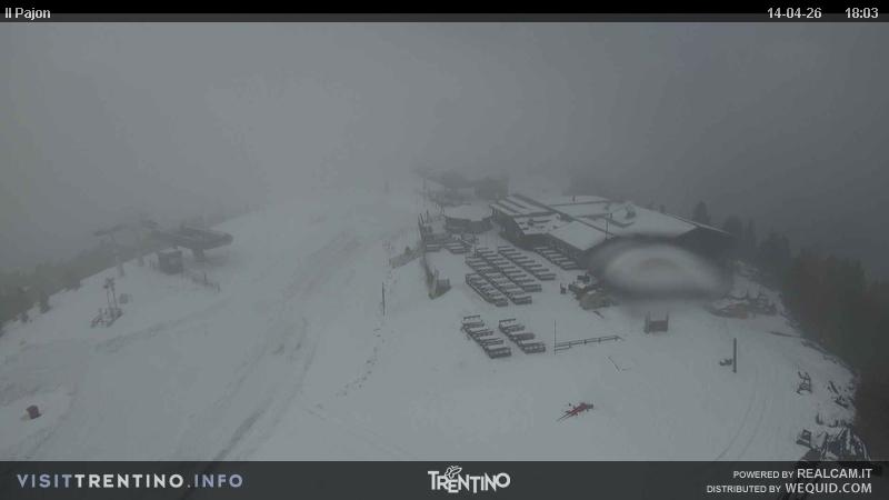 Webcam a Cavalese - Trentino