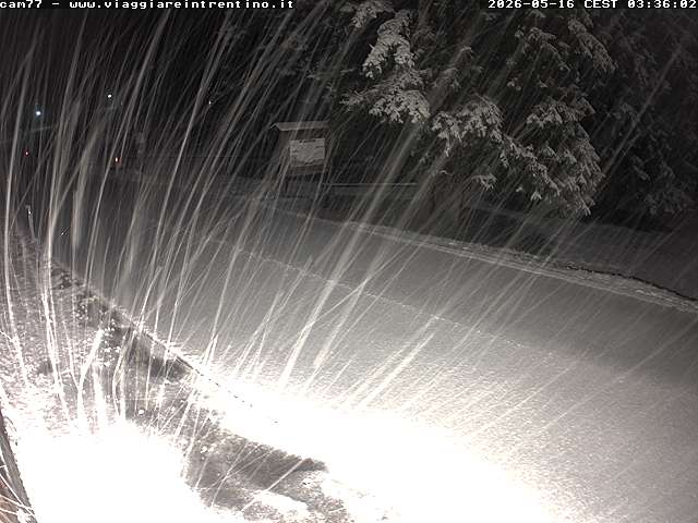 Webcam a Passo San Pellegrino - Trentino